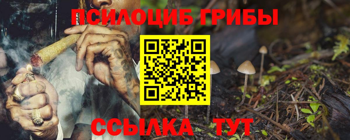 Новороссийск  Псилоцибиновые грибы мицелий  Галлюциногенные грибы мицелий  Вход с VPN 