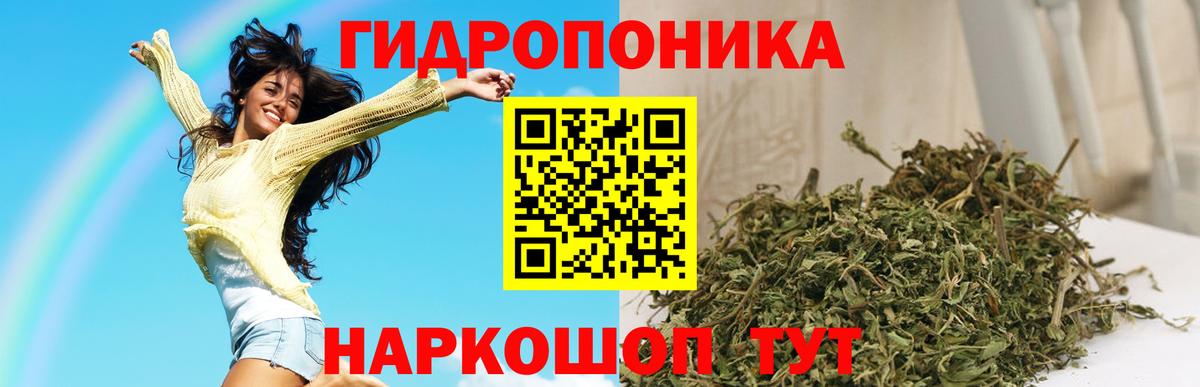 Марихуана сатива Новороссийск